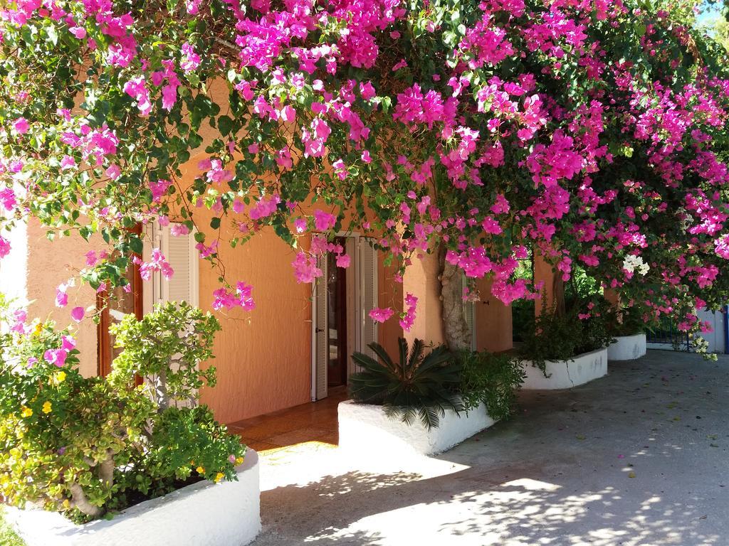 Constantinos Apartments Ласси Экстерьер фото